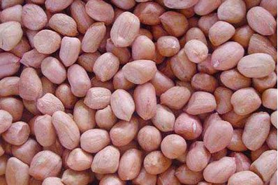 米的爸爸是谁?脑筋急转弯