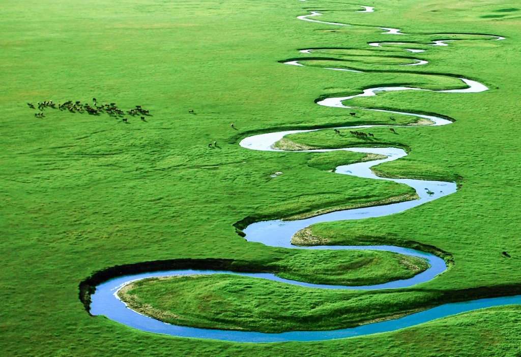 中国最大的草原是哪里