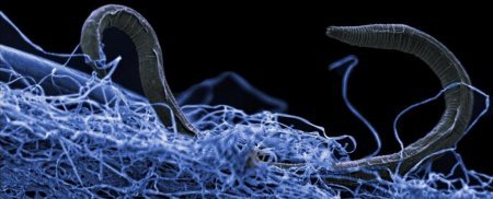 “地心世界”真实存在吗？