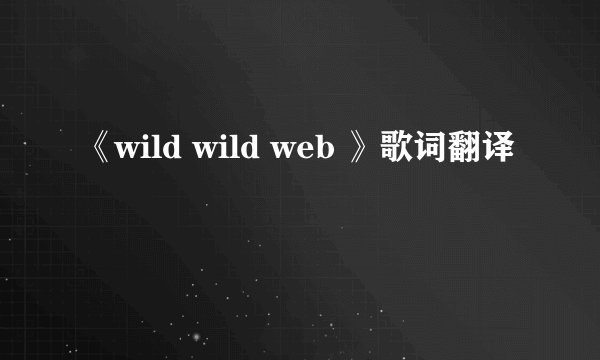 《wild wild web 》歌词翻译