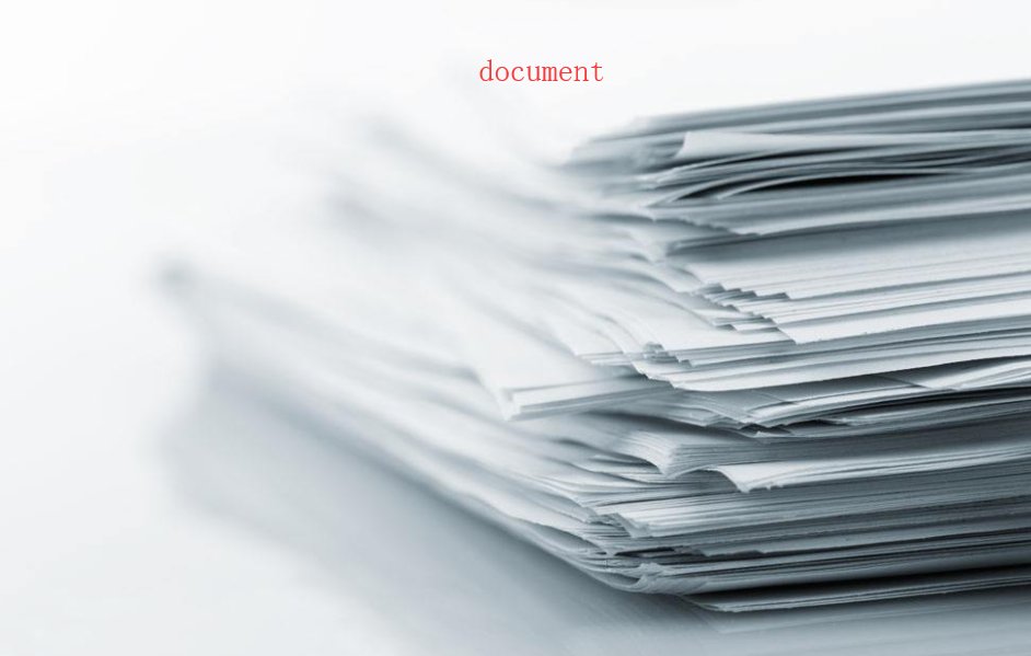 document是什么意思