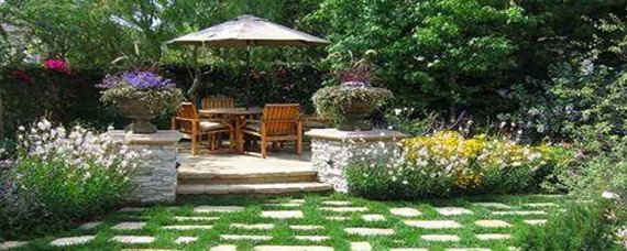 张曼源后花园什么意思?