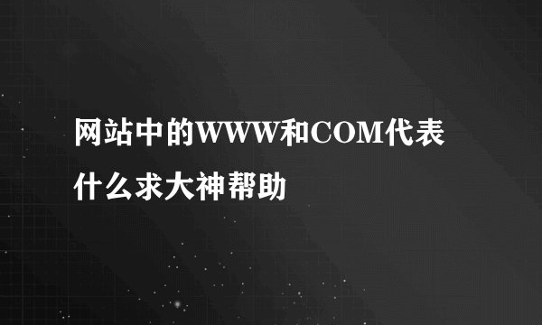 网站中的WWW和COM代表什么求大神帮助