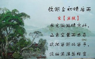 饮湖上初晴后雨的意思是什么？