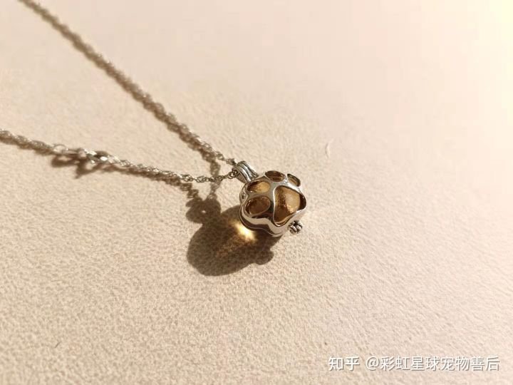 请问宠物死了怎么安葬?怎么火化和埋葬?