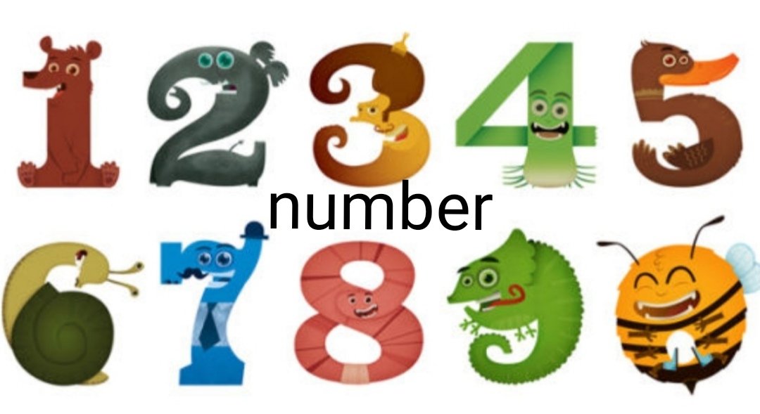 号码英语单词怎么读