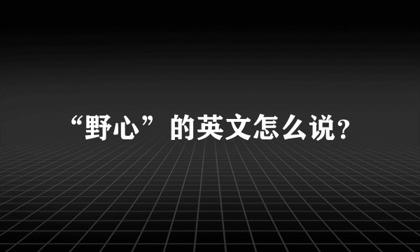 “野心”的英文怎么说？