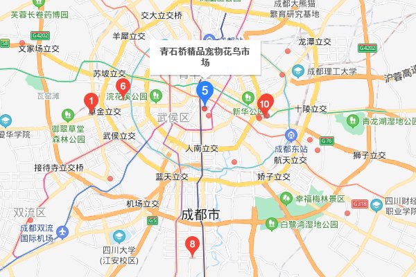 成都现在哪里有宠物市场