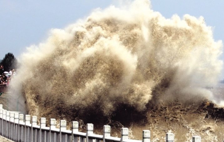 赵宗成简介快告诉我！谢谢！