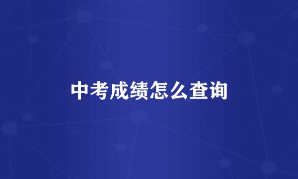 中考成绩怎么查询