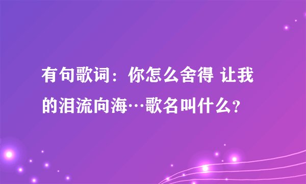有句歌词：你怎么舍得 让我的泪流向海…歌名叫什么？
