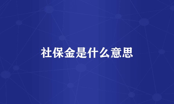 社保金是什么意思