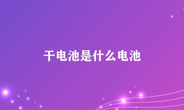 干电池是什么电池