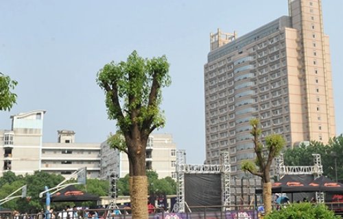 湖北省211大学名单