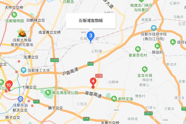 成都现在哪里有宠物市场