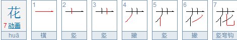 花笔顺笔画顺序