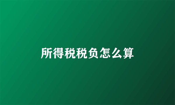 所得税税负怎么算