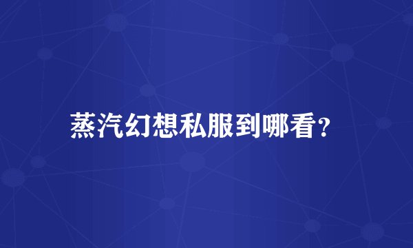 蒸汽幻想私服到哪看？