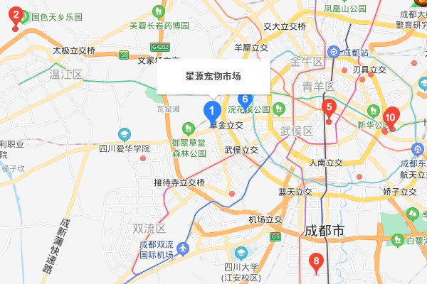 成都现在哪里有宠物市场