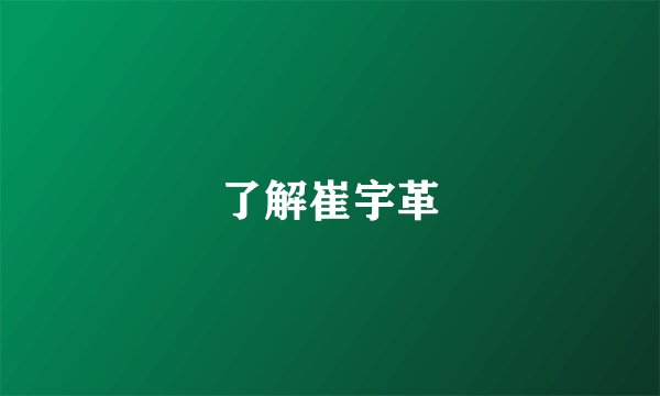 了解崔宇革