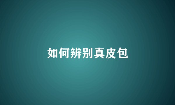 如何辨别真皮包