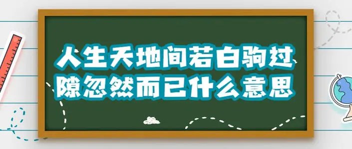 人生如白驹过隙忽然而已什么意思?