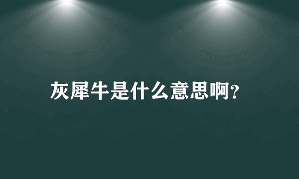 灰犀牛是什么意思啊？