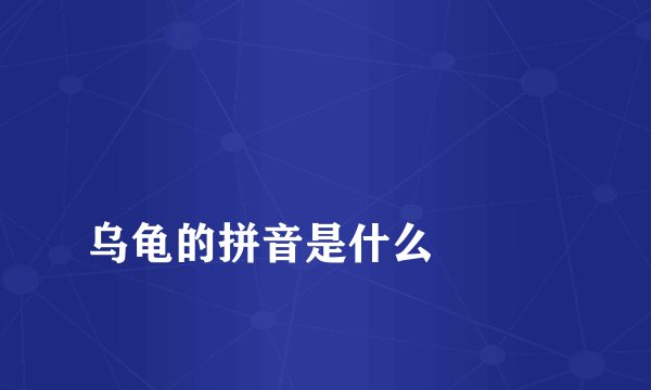 
乌龟的拼音是什么

