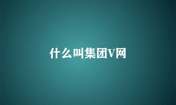 什么叫集团V网