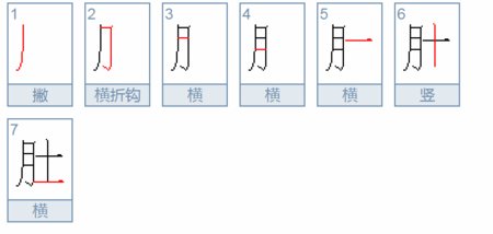 肚笔画顺序怎么写