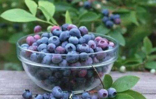 黑龙江特产有哪些?