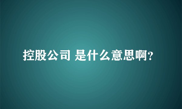 控股公司 是什么意思啊？