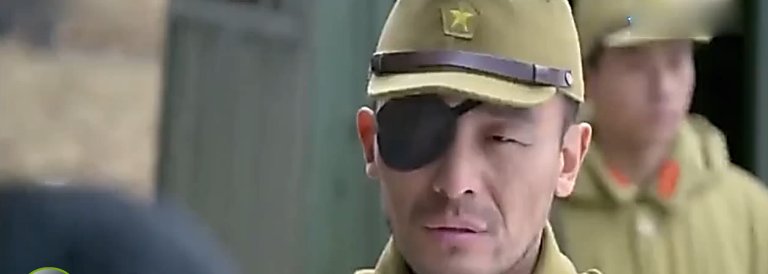 电视剧民兵康宝算是一部抗战雷剧嘛？