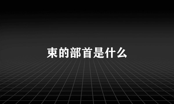 束的部首是什么
