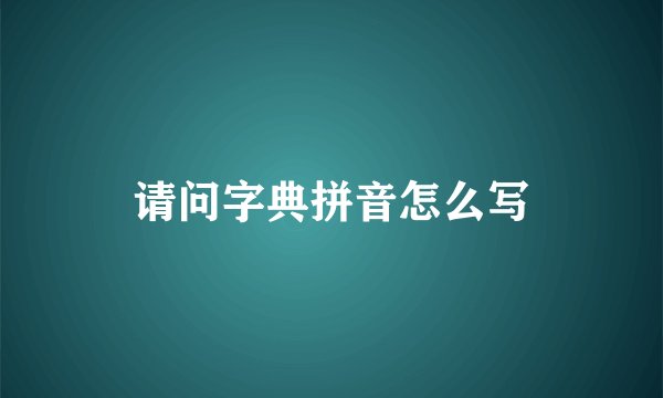 请问字典拼音怎么写