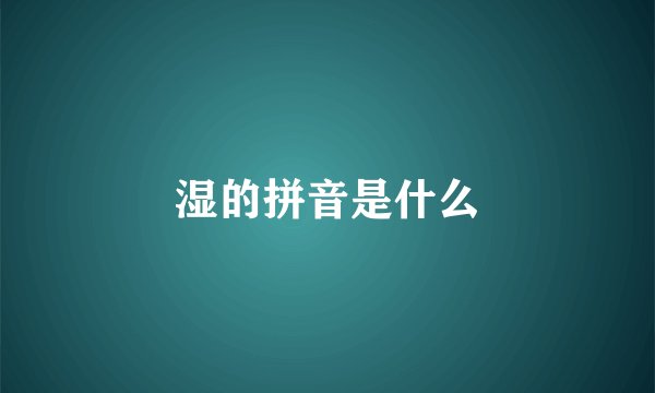 湿的拼音是什么