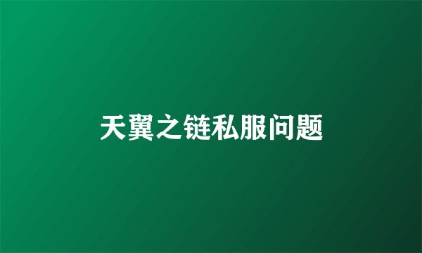 天翼之链私服问题