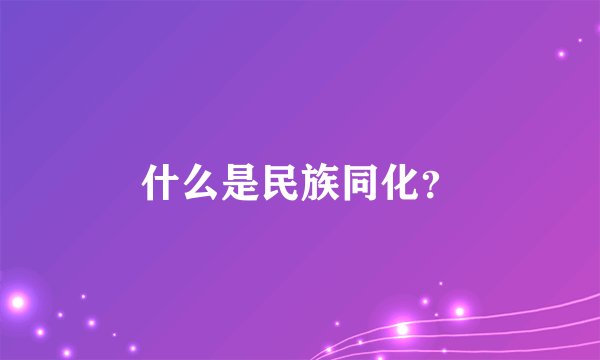 什么是民族同化？