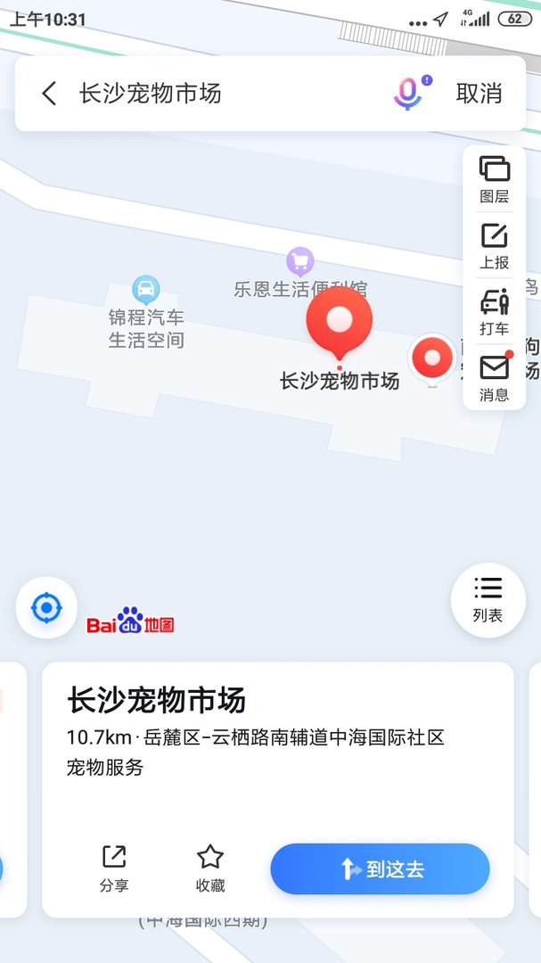 长沙哪里有宠物市场？