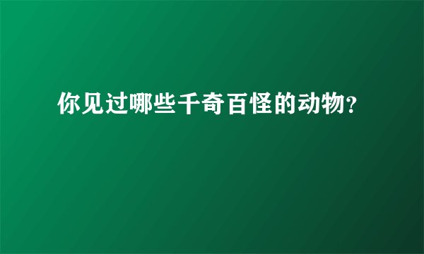 你见过哪些千奇百怪的动物？