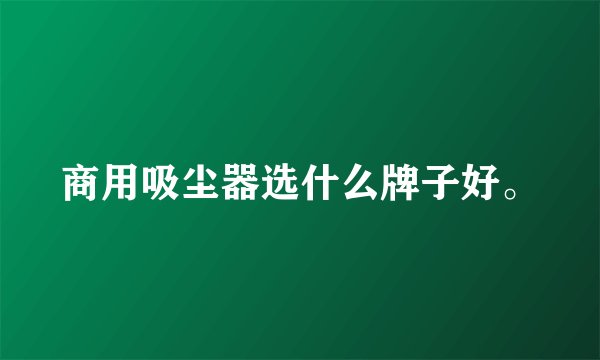 商用吸尘器选什么牌子好。