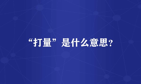 “打量”是什么意思？