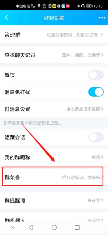 手机qq群里怎么才能显示群成员等级？