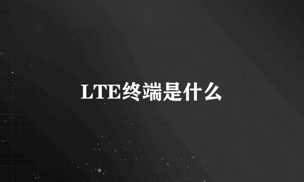 LTE终端是什么