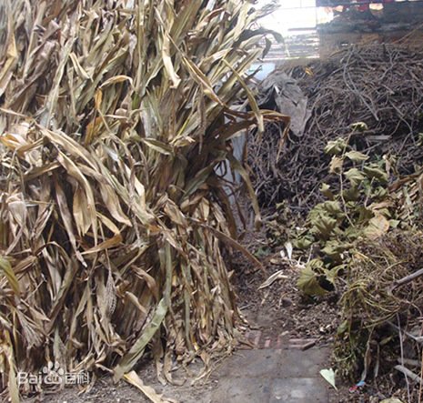 秸秆是什么东西