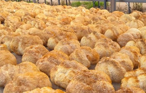 黑龙江特产有哪些?