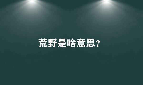 荒野是啥意思？