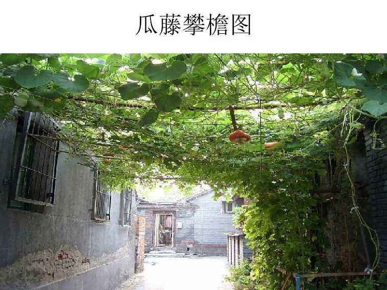 《乡下人家》描绘了那几幅图，体现了乡村生活的什么什么特点？