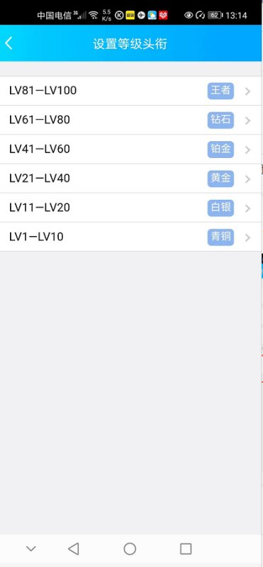 手机qq群里怎么才能显示群成员等级？