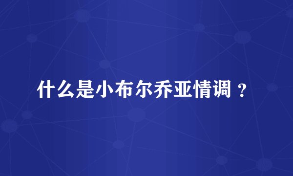 什么是小布尔乔亚情调 ？